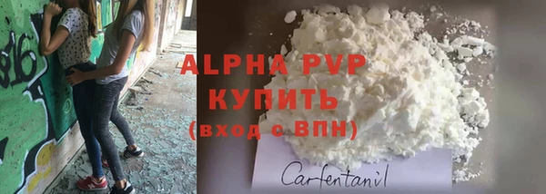 гидра Карпинск