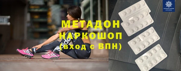 гидра Каменка
