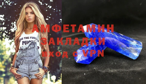 гидра Карпинск