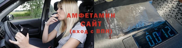 гидра Карпинск