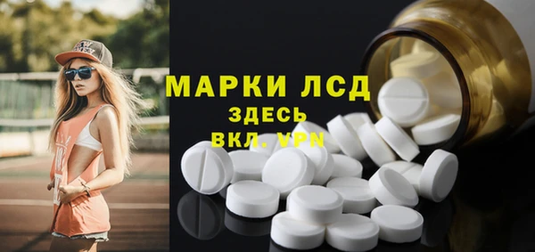 гидра Карпинск