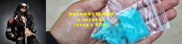 гидра Карпинск