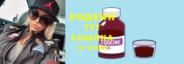 гидра Карпинск
