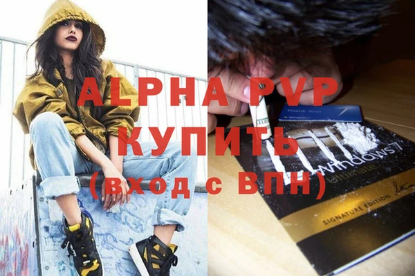 гидра Карпинск
