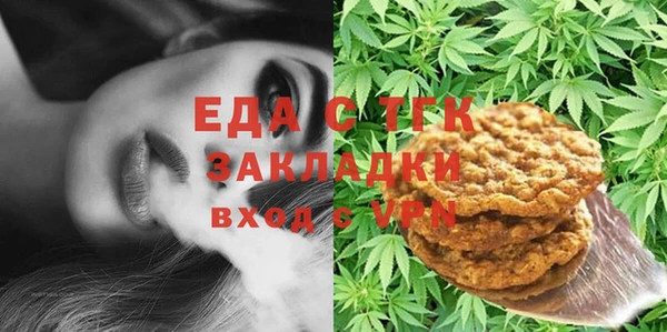 гидра Карпинск