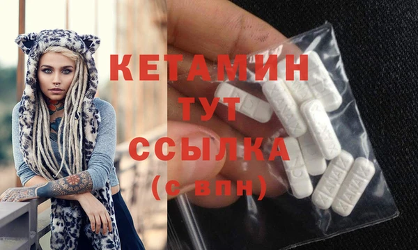 гидра Карпинск