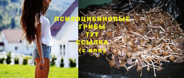прущие крисы Карталы