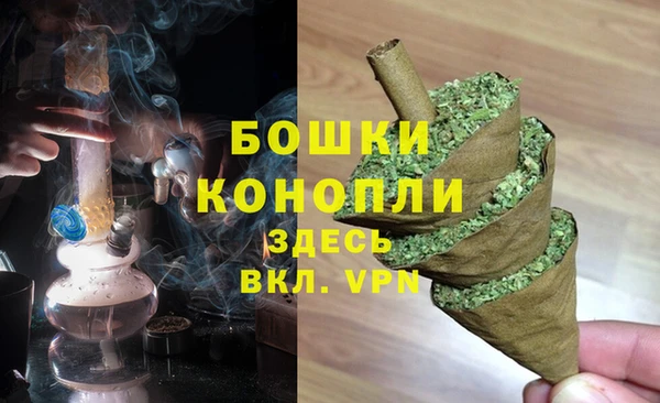 гидра Карпинск