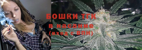 гидра Карпинск