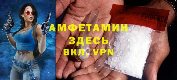 гидра Карпинск